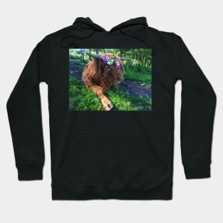 Scottish Highland Cattle Calf 2020 Hoodie